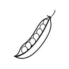 vector illustration of a green peas