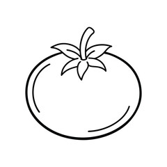 vector illustration of an apple