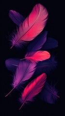 Obraz premium Vibrant, fuchsia-toned feathers against black