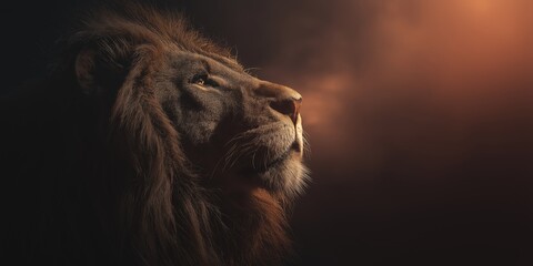 Lion of Judah, Christian bible symbolism background wallpaper with copy space. Artistic painting, cinematic style