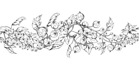 Currant gooseberry clusters with leaves, ripe berry juneberry casseille jostaberry, hand drawn in vector ink. Isolated seamless banner border garland for dessert menu, eco farmers market, gardening