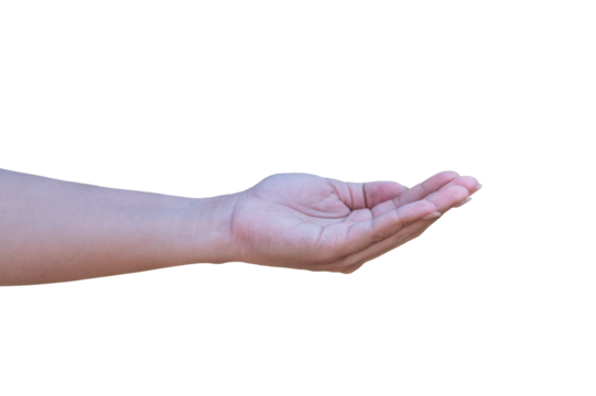 Female hand isolated on top of background PNG image Transparent background