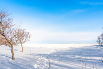 知床の雪原と流氷 © kino