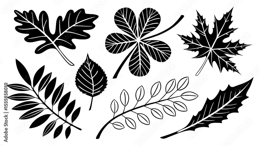 Poster a monochrome illustration of various leaf types including oak maple and clover on a black background