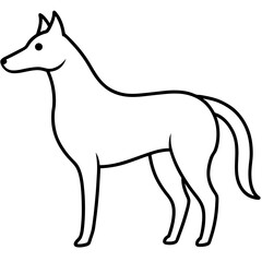 Obraz premium kelpie on white background