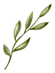 Watercolor olive branch illustration on transparent background.