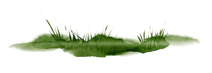 Watercolor grass patch on transparent background. © beyouenked