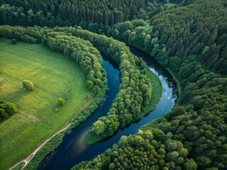 Serpentine river meanders through lush green forest and fields, showcasing a breathtaking aerial view of nature's beauty.
