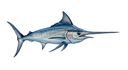 Striped Marlin Watercolor Painting - Ocean Wildlife Art watercolor png, transparent isolated nackground