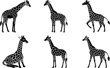 Giraffe Silhouette Collection Set and Editable Vector Bundle for Wildlife Branding, Educational Materials, and Safari-Themed Designs