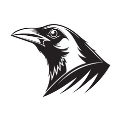 Common blackbird vector art illustration