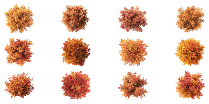 Autumn Foliage Top View Illustration Set. Landscape Design And Seasonal Planning Collection. Isolated Vector Illustration