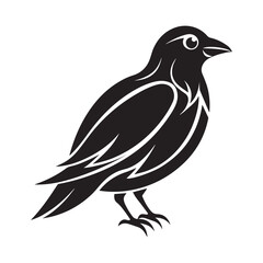 Obraz premium Common blackbird vector art illustration