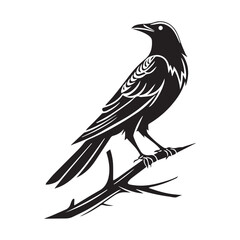 Obraz premium Common blackbird vector art illustration