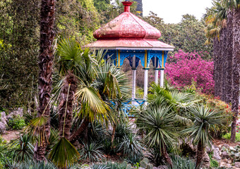 Gazebo in the park among palm trees and flowers in summer.