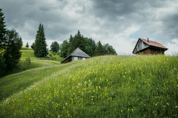 Wooden cabins nestled on a mountain slope overlook vast green meadows, creating a cozy and peaceful...