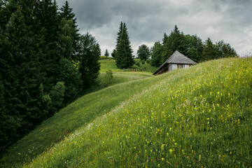 Wooden cabins nestled on a mountain slope overlook vast green meadows, creating a cozy and peaceful...