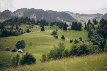Wooden cabins nestled on a mountain slope overlook vast green meadows, creating a cozy and peaceful...