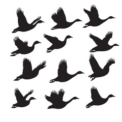 Obraz premium flying goose silhouette