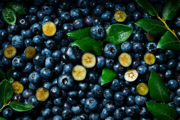 Fresh ripe blueberries background. Berry background. Macro photo. Fresh blue berries.