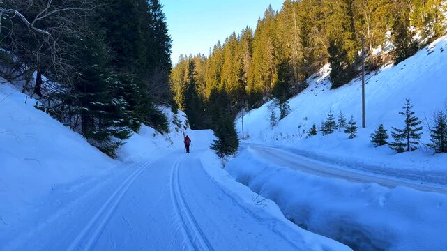 Holmenkollen Toppsesteret Skimore Oslo Norway Norge Frognerseteren Cross Country skiing trail path skiers gliding skating late afternoon arctic golden hour sunset river creek shaded area follow