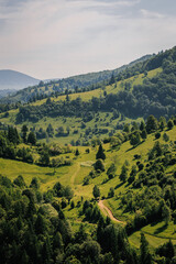 Obraz premium The Carpathian Mountains in Romania are a majestic mountain range, rich in wildlife, forests, and breathtaking landscapes.