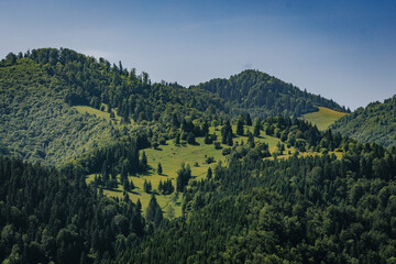 Obraz premium The Carpathian Mountains in Romania are a majestic mountain range, rich in wildlife, forests, and breathtaking landscapes.