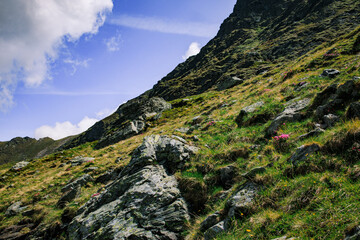 The Carpathian Mountains in Romania are a majestic mountain range, rich in wildlife, forests, and breathtaking landscapes.