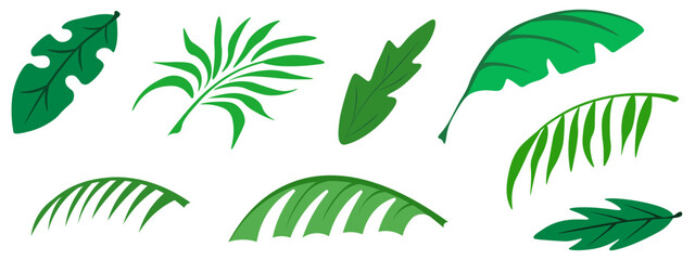 Palm Leaves set. Beautiful vector tropical plant Leaves collection isolated transparent background. Ideal for Summer poster banner art template design. EPS 10