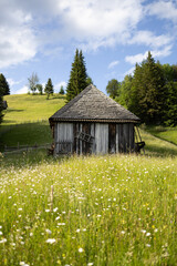 Obraz premium Wooden cabins nestled on a mountain slope overlook vast green meadows, creating a cozy and peaceful countryside retreat.
