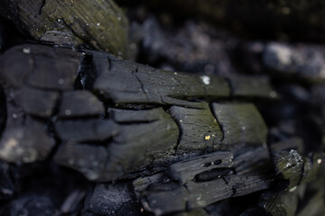 A macro view of a particularly beautiful shape