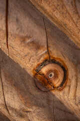 Macro photo of beautiful wood texture