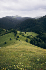 Fototapeta premium The Carpathian Mountains in Romania are a majestic mountain range, rich in wildlife, forests, and breathtaking landscapes.
