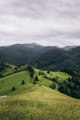 Obraz premium The Carpathian Mountains in Romania are a majestic mountain range, rich in wildlife, forests, and breathtaking landscapes.