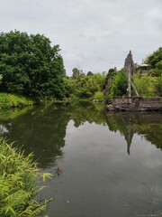 &Aacute;rboles reflejados en el lago