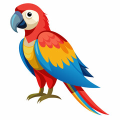 parrot isolated on white background