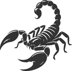 Vector illustration of a scorpion insect silhouette drawing