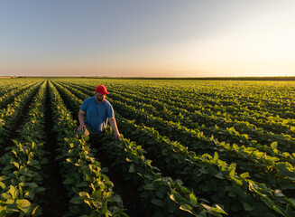 Young farmer in soybean fields