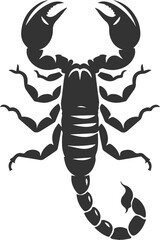 Vector illustration of a scorpion insect silhouette drawing