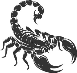 Vector illustration of a scorpion insect silhouette drawing