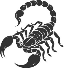 Vector illustration of a scorpion insect silhouette drawing