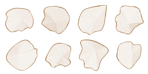Eight brown graphic outline wavy concentric tree rings of wooden cuts on white. Slices wood trunk. Ripple organic circles. Hardwood stump. Vector illustration