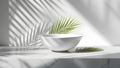 White Minimalist Bowl with Palm Leaf and Diagonal Shadows