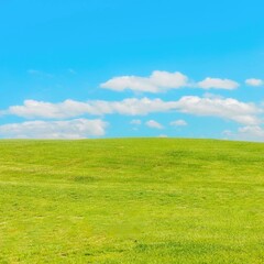 Obraz premium Green Hill Under Blue Sky- Nature Landscape (green field and blue sky) 
