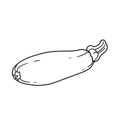 Zucchini Simplicity: A detailed outline of a single, fresh zucchini, showcasing its elongated form and subtle textures. The image highlights the vegetable's natural shape.