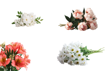 Collection of four fresh flower bouquets: white, pink and orange, on a transparent background - perfect for wedding and holiday design.