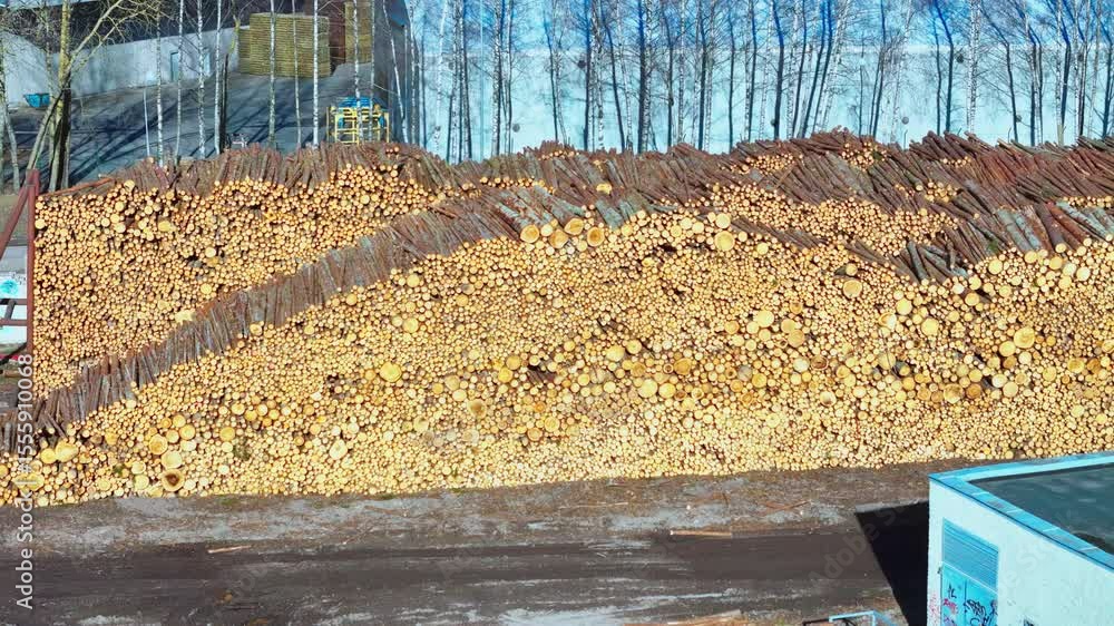 Poster large piles of freshly cut timber logs stacked in rows at a lumber processing facility, showcasing c