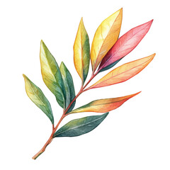 watercolor of A Oleander Leaf, vector, isolated on a white background.