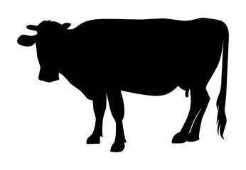 black cow silhouette isolated on white background as flat design promotional element for dairy products, health and social issues, and for art pieces