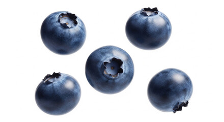 blueberries on white background